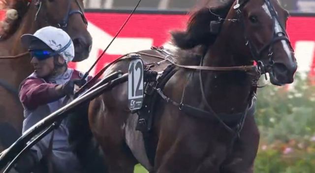 ITALIANO VERO (David THOMAIN) vainqueur du Critérium des 4 Ans 2022 à Vincennes