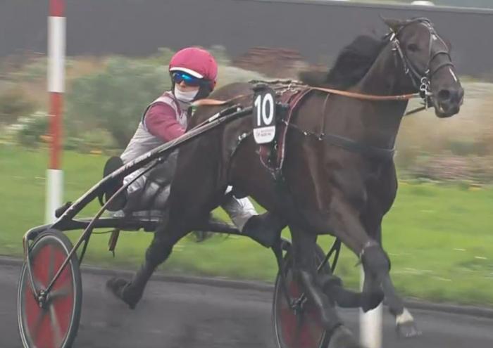 PRIX DE BELGIQUE 2024 et la victoire d'IZOARD VÉDAQUAIS drivé par Benjamin ROCHARD