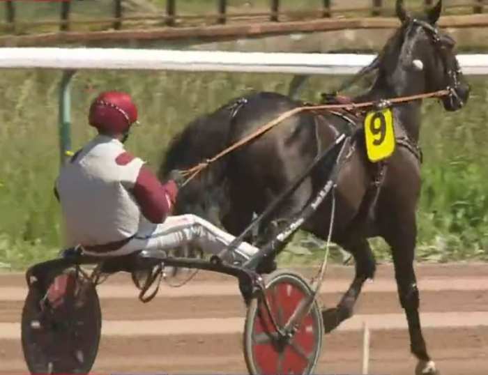 PRIX DES DUCS DE NORMANDIE 2024 et la victoire d'IZOARD VEDAQUAIS drivé par Benjamin ROCHARD sur l'hippodrome de Caen