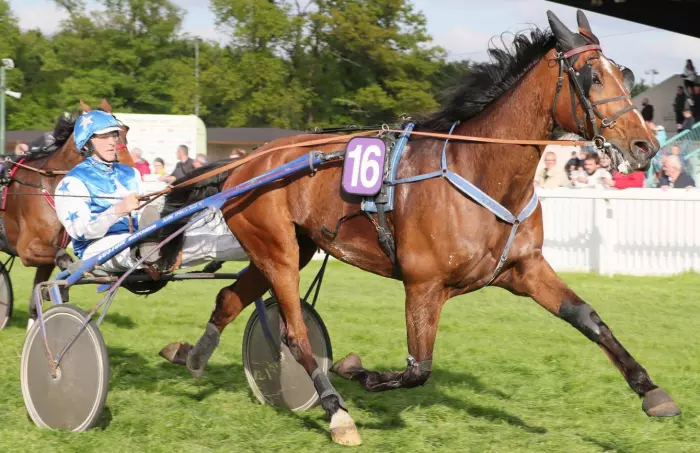 JACK DES ASS, le favori du quinté+ du jour à Cabourg - Prix des Lycopodes (31/07/2026)