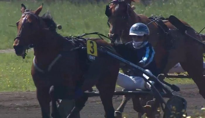 2ème étape du Grand National du Trot 2025 et la victoire de JAMIN DE BRION drivé par Matthieu ABRIVARD sur l'hippodrome de Salon-de-Provence