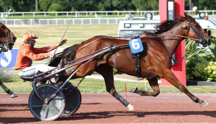 JASON GINYU le favori du quinté+ du jour, Prix de Châteaurenard