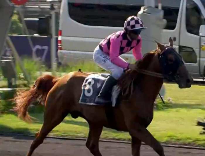 JASPER DES CHARMES moné par Eric RAFFIN gagnant du PRIX DU PRÉSIDENT DE LA RÉPUBLIQUE 2023 à Vincennes