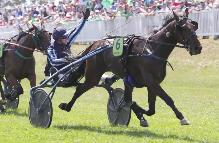 JAZZ DE PADD, le favori du quinté+ du jour à Vincennes - Prix Algorah (11/09/2026)