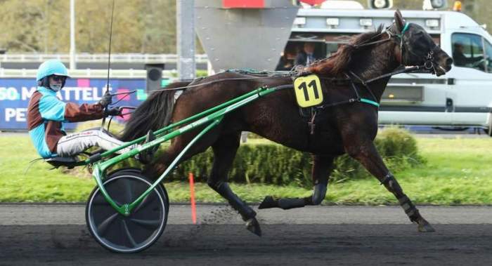4ème étape du Grand National du Trot 2025 et la victoire de JE RÊVE DU BOIS drivé par Anthony BARRIER sur l'hippodrome de Maure-de-Bretagne