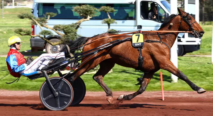 2ème étape du Grand National du Trot 2026 et la victoire de JE TE CHERCHE drivé par Théo DUVALDESTIN sur l'hippodrome de Marseille Borély