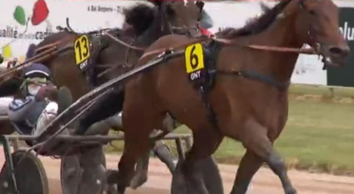 6ème étape du Grand National du Trot 2025 et la victoire de JINGLE DU PONT drivé par Nicolas BAZIRE sur l'hippodrome de Laval