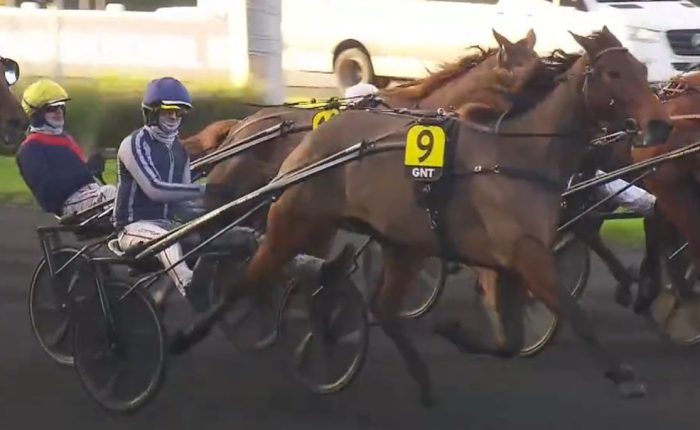 JINGLE DU PONT (9 - Nicolas BAZIRE) gagnant de la Finale du Grand National du Trot 2025 à Vincennes