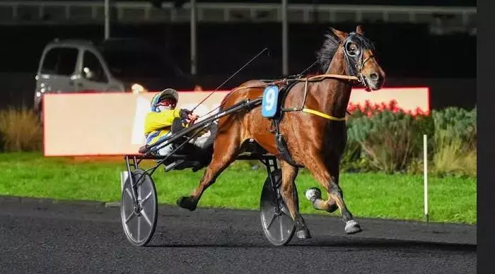 JIPET DE CREPIN, le favori du quinté+ du jour à Vincennes - Prix du Mont-Saint-Michel (05/09/2026)