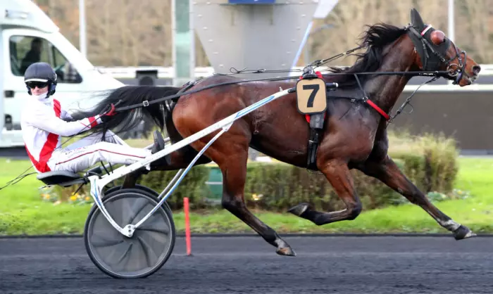 JIZOU D'ÉTANG, le favori du quinté+ du jour à Enghien - Prix de Pigalle (29/07/2026)