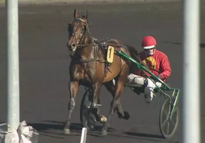 Quinté+ du jour et la victoire de JOBSPOST drivé par Mathieu MOTTIER sur l'hippodrome de Paris Vincennes