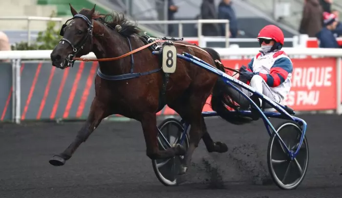 Jolivert du Gers favori du quinté du jour à Vincennes - 22/05/2026