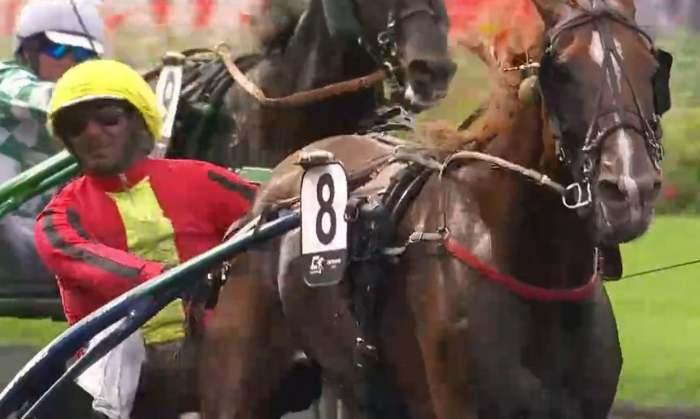JOSH POWER (Sébastien ERNAULT) vainqueur du Critérium des 4 Ans 2023 à Vincennes