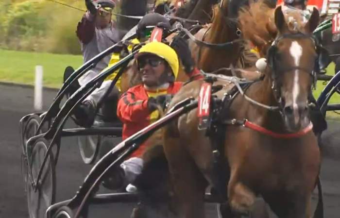 JOSH POWER (Sébastien ERNAULT) vainqueur du Critérium des 5 Ans 2024 à Vincennes