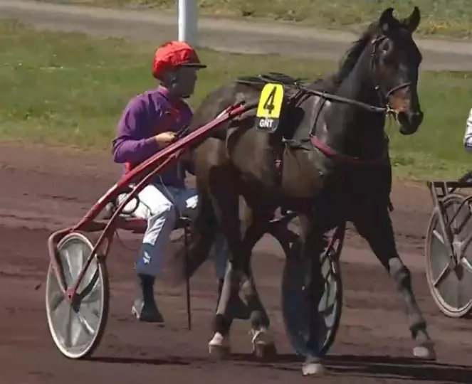 3ème étape du Grand National du Trot 2026 et la victoire de JOTUNN DU DOME drivé par Philippe DAUGEARD sur l'hippodrome de Lyon Parilly