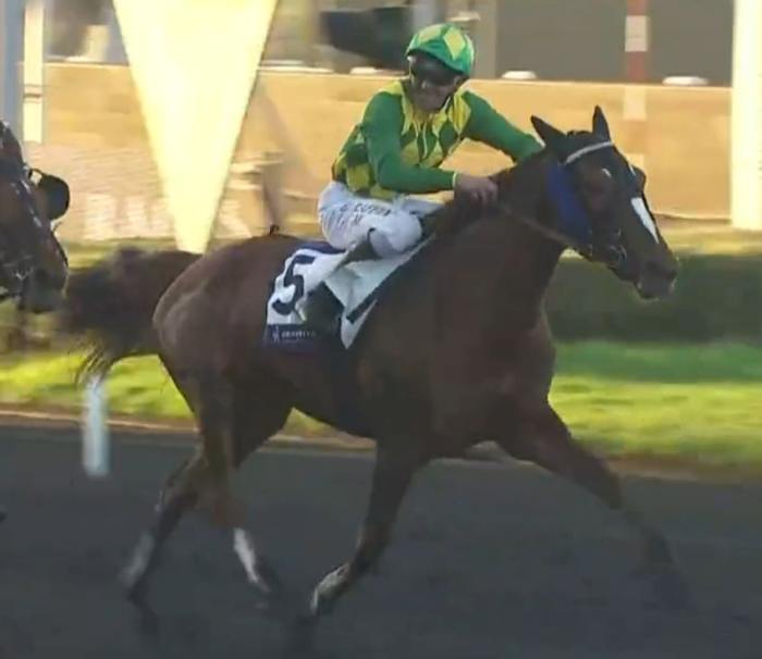 JOUMBA DE GUEZ monté par Eric RAFFIN Vainqueur du Prix Jag de Bellouet 2023 sur l'hippodrome de Paris Vincennes