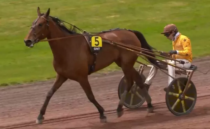 4ème étape du Grand National du Trot 2026 et la victoire de JOYCE DELTO drivée par Aymeric THOMAS sur l'hippodrome de Châteaubriant