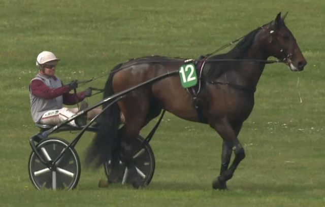 PRIX DE TONNAC-VILLENEUVE 2023 et la victoire de JUST A GIGOLO drivé par Franck NIVARD sur l'hippodrome d'Enghien