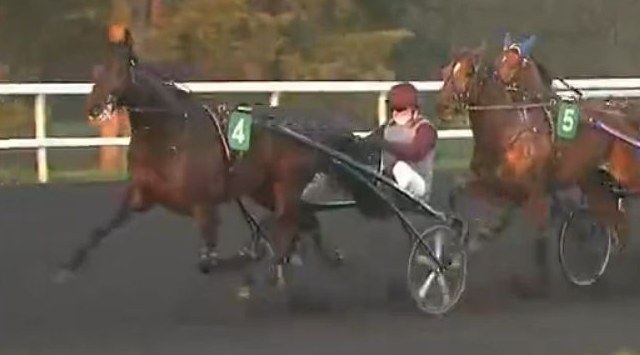 Just A Gigolo drivé par Franck NIVARD Vainqueur du Prix de l'Étoile 2022 sur l'hippodrome de Paris Vincennes