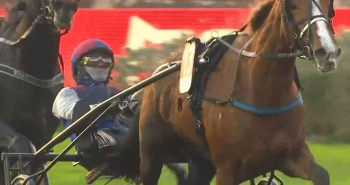 PRIX TÉNOR DE BAUNE 2024 et la victoire de JUST LOVE YOU drivé par Alexandre ABRIVARD