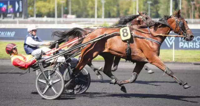 JUST DE L'OISON, le favori du quinté+ du jour à Argantan - 10ème étape du Grand National du Trot 2026 (23/09/2026)