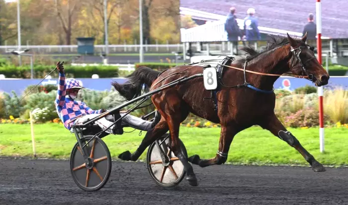 JUST DU CHATELET, le favori du quinté+ du jour à Vincennes - Prix Orionis (23/10/2026)