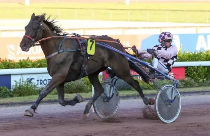 KAISER, le favori du quinté+ du jour à Cabourg - Prix d'Argentan (21/08/2026)