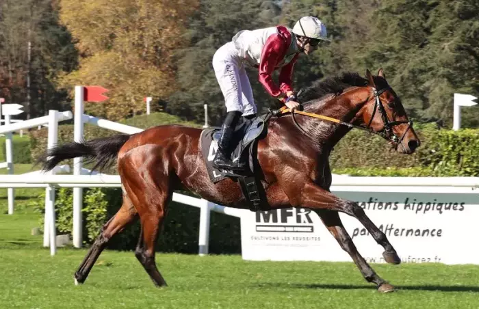Kalahani, favori du quinté+ du jour à Saint-Cloud (Prix de la Gloriette)