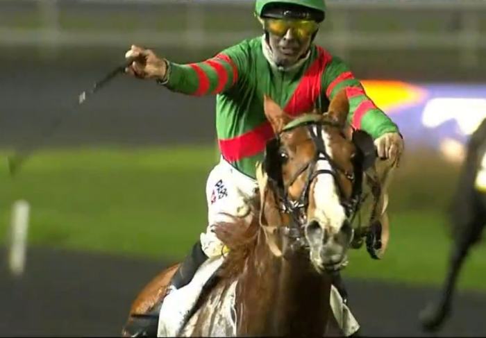 KALIF LANDIA monté par Benjamin ROCHARD Vainqueur du Prix Jag de Bellouet 2024 sur l'hippodrome de Paris Vincennes