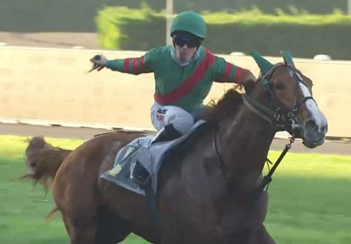 KALIF LANDIA monté par Benjamin ROCHARD Vainqueur du Prix de Vincennes 2023 sur l'hippodrome de Paris Vincennes