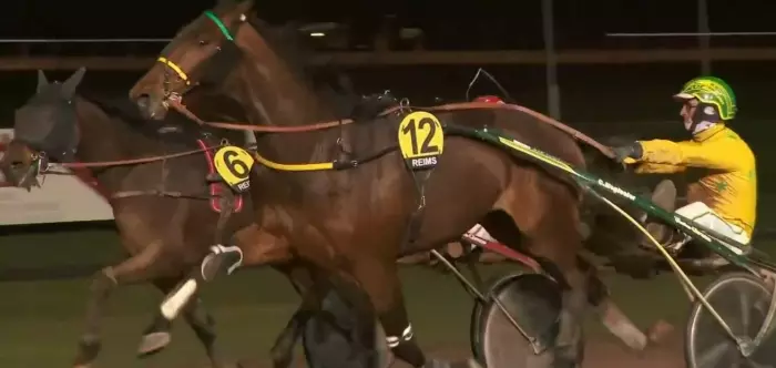 Kano favori du quinté du jour à Vincennes - Prix Neptuna