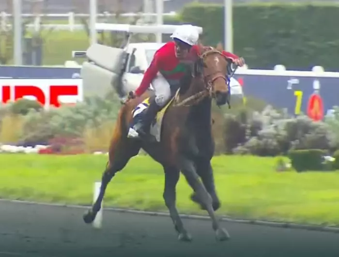 PRIX DE L'&Icirc;LE-DE-FRANCE 2026 et la victoire de KAPAULA DE L'ÉPINE mont&eacute; par Adrien LAMY sur l'hippodrome de Paris Vincennes