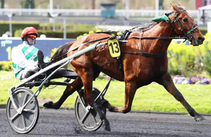 KARAMBAR, le favori du quinté+ du jour au Croisé-Laroche, 5ème étape du GNT 2026