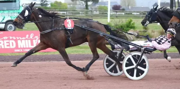 KASSYA, le favori du quinté+ du jour à Caen - Prix de la Ville de Caen 2026 (10/10/2026)