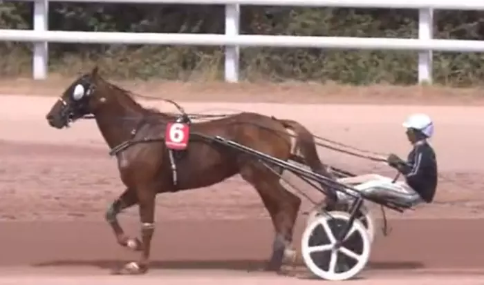 KEIGHT BLESS, le favori du quinté+ du jour à Cabourg - Prix (28/08/2026)