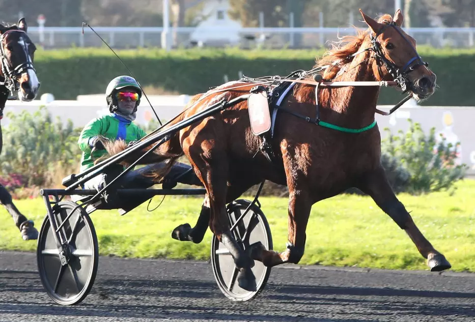 KIKA JOSSELYN, le favori du quinté+ du jour à Angers - 9ème étape du Grand National du trot 2026 (09/09/2026)
