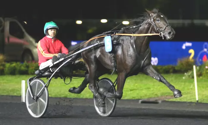 KING OPÉRA, le favori du quinté+ du jour à Craon - Finale du Trophée Vert 2026 (07/09/2026)