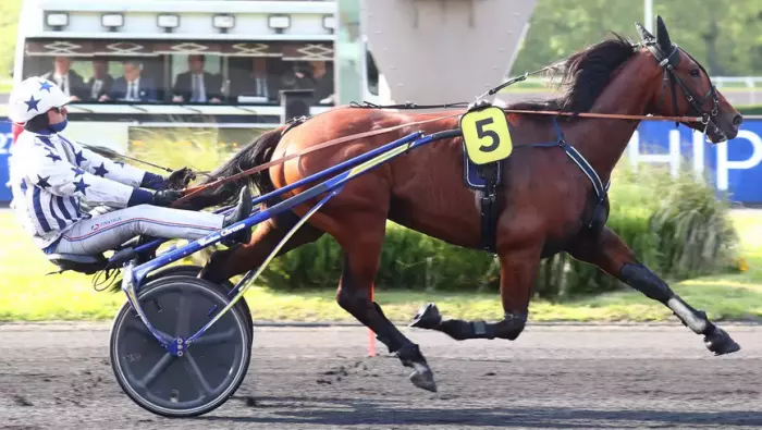 KISS ATOUT, le favori du Prix de Thury Harcourt, quinté+ du jour à Caen (10/06/2026)