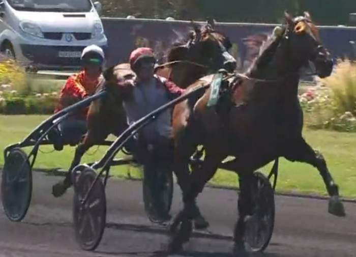 KOCTEL DU DAIN drivé par David THOMAIN gagnant du PRIX ALBERT VIEL 2023 à Vincennes