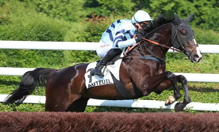 KOLOKICO favori du Grand Steeple-Chase de Paris 2026 à Auteuil