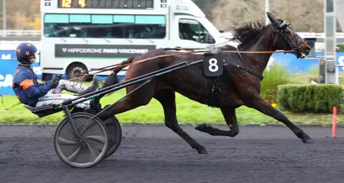KOUREAS D'ELA, le favori du quinté+ du jour à Reims - 11ème étape du Grand National du Trot 2026 (14/10/2026)