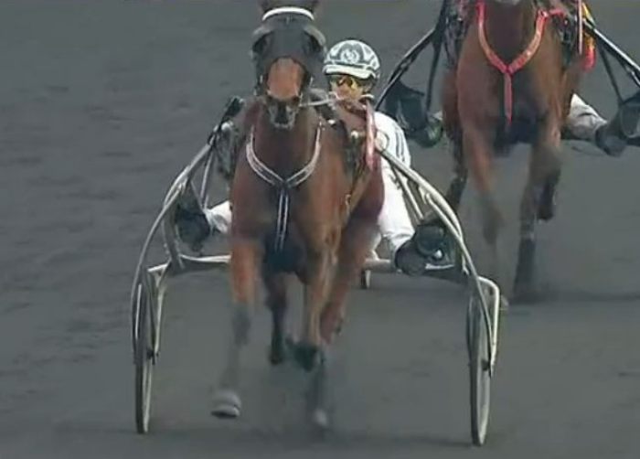 PRIX CHARLES TIERCELIN 2024 et la victoire de KYRIELLE drivé par William BIGEON sur l'hippodrome de Paris Vincennes