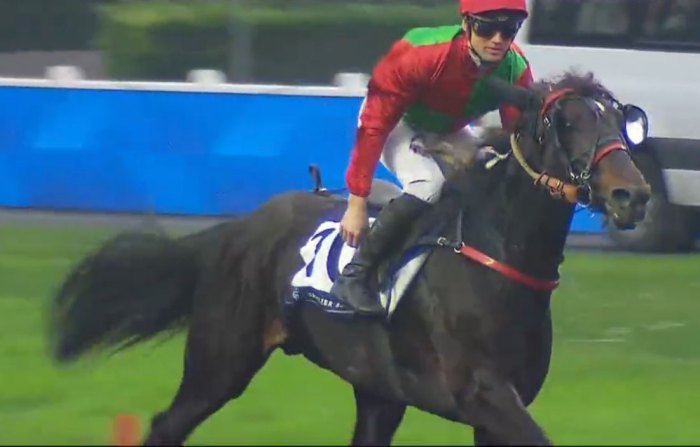 L'ÉCRIN D'OR mont&eacute; par Alexandre ABRIVARD Vainqueur du Prix Jag de Bellouet 2025 sur l'hippodrome de Paris Vincennes