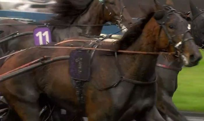 PRIX COMTE PIERRE DE MONTESSON 2024 et la victoire de LA JOYEUSE WICZ drivé par Gwenn DUNOD sur l'hippodrome de Paris Vincennes