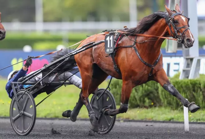 LANCIER DU GOUTIER, le favori du quinté+ du jour à Vincennes - Critérium des 5 Ans 2026 (12/09/2026)
