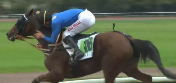 SAINT-LÉGER DES TROTTEURS 2024 et la victoire de LITTLE ORELIE monté par Mathieu MOTTIER sur l'hippodrome de la Prairie de Caen