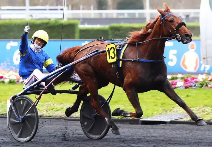 Liza Josselyn favori du quinté du jour à Vincennes - Prix Henri Levesque 2026