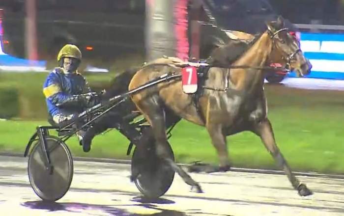 CRIT&Eacute;RIUM CONTINENTAL 2025 et la victoire de LIZA JOSSELYN driv&eacute; par Jean-Michel BAZIRE