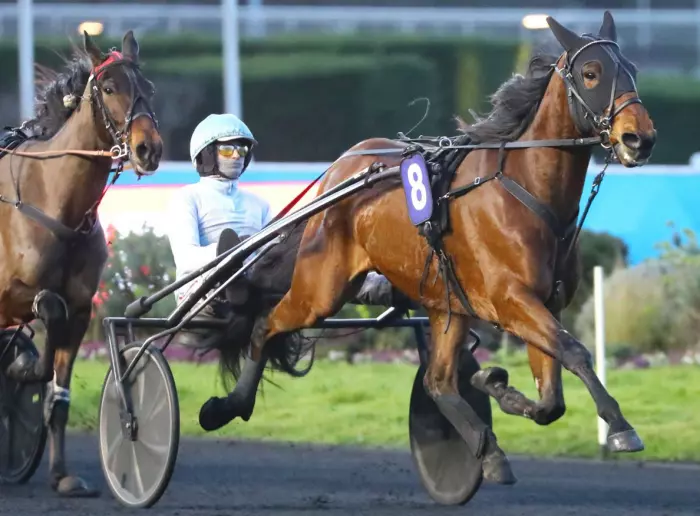 LORD DELO, le favori de la 8ème étape du Grand National du Trot 2026, quinté+ du jour à Saint-Malo (05/08/2026)