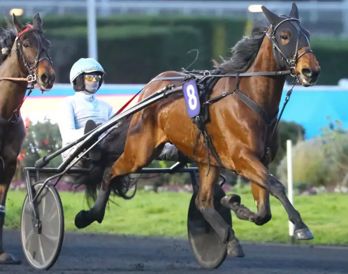 Lord Delo favori du quinté du jour à Vincennes - Prix du Perreux 2026